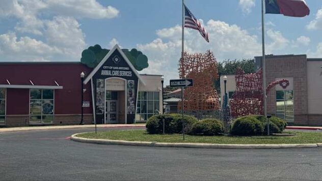 ACS plans forced sterilizations, anonymous dangerous dog complaints, and bigger fines for repeat offenders