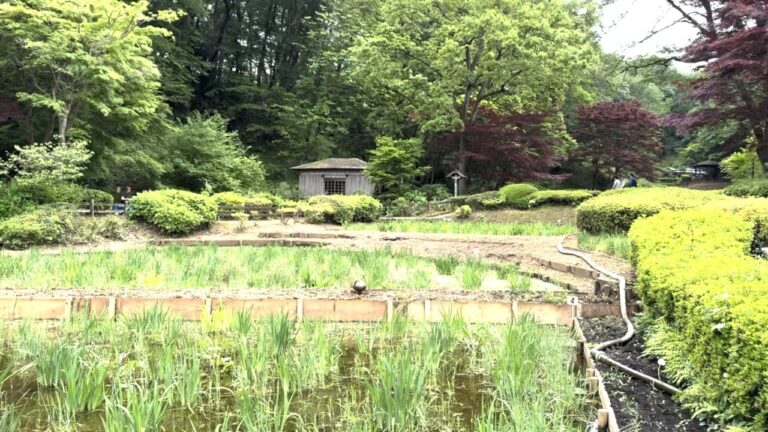 Feature: A Trip To Machida, The Real-Life 'Pallet Town' That Inspired Pokémon