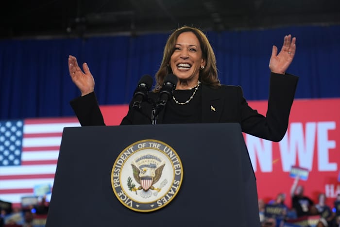 Harris promises to 'represent all Americans' after Biden's remark on Trump supporters and 'garbage'
