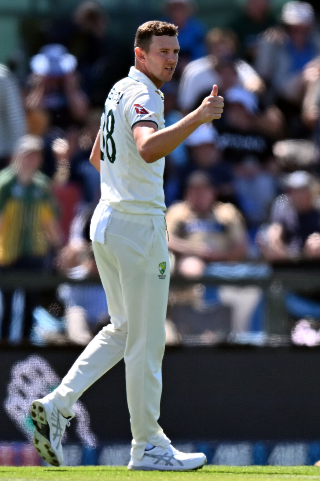 Hazlewood set for first game of season, Lyon rested