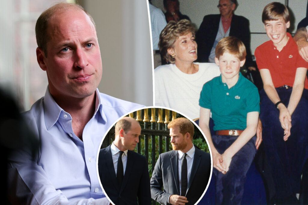 Prince William makes very rare comments about brother Prince Harry amid family rift: ‘I was a bit anxious’