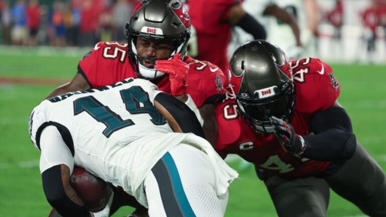 Texans Bolster Their Defense With Signing Of Former Pro Bowler