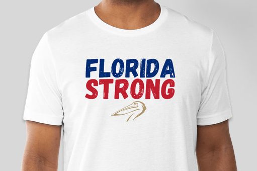 The Annika and Pelican Golf Club team up to create 'Florida Strong' T-shirts to support hurricane recovery