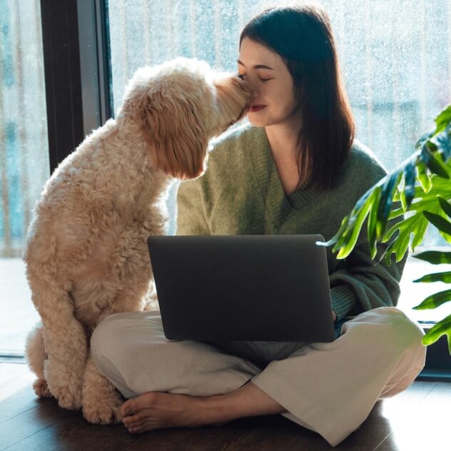 Top Pet Deals at October Prime Day 2024: Save on Furbo, Purina & More