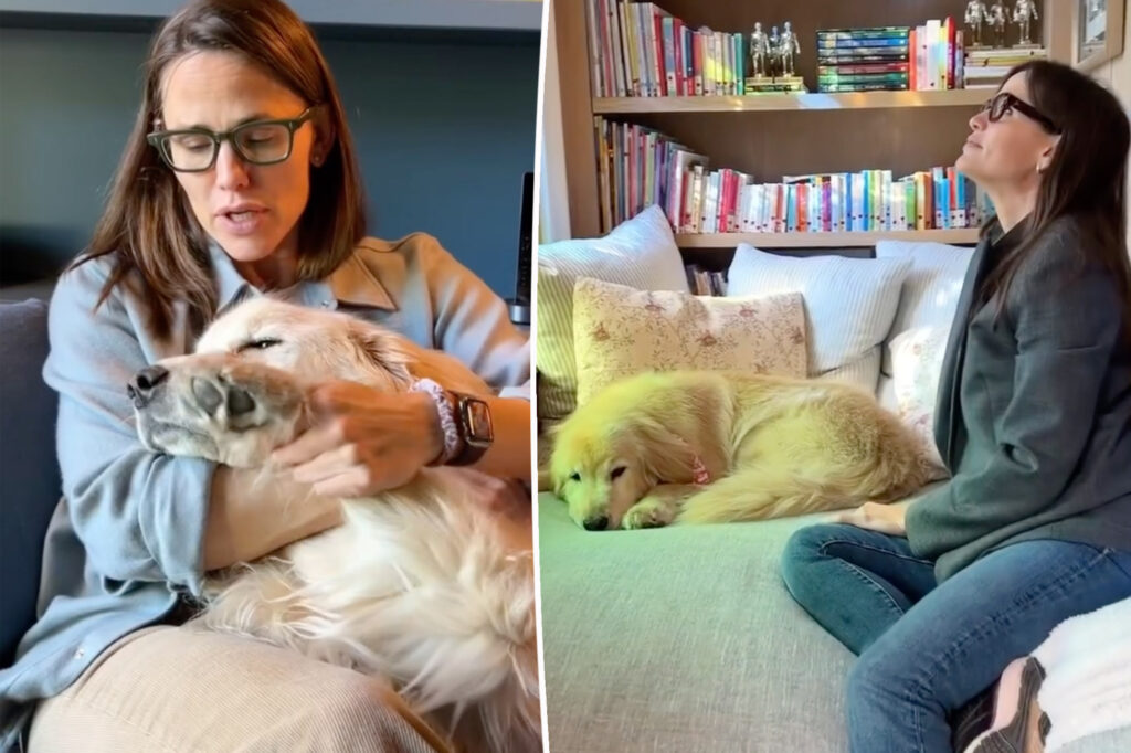 Jennifer Garner’s 9-year-old golden retriever, Birdie, dies