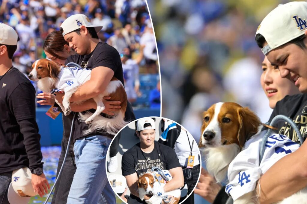 Shohei Ohtani’s adorable dog takes center stage at Dodgers’ World Series celebration
