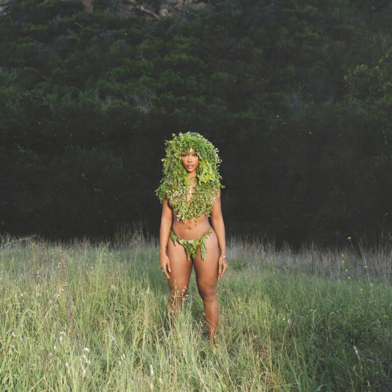 6 New Albums You Should Listen to Now: SZA, Lazer Dim 700, Quinn, and More