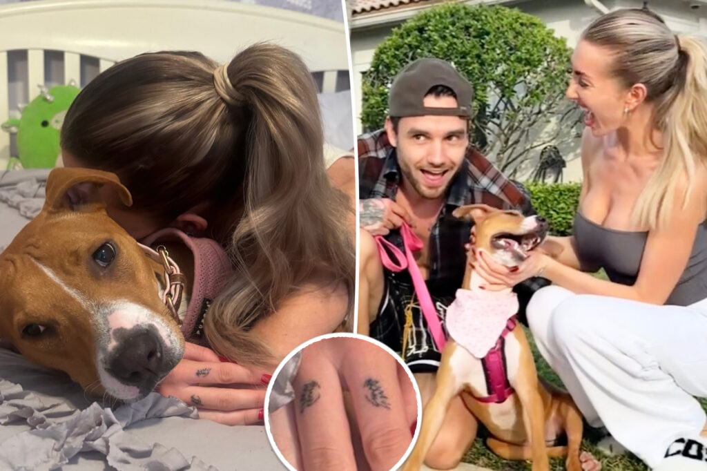 Liam Payne’s girlfriend, Kate Cassidy, debuts angel wings tattoo after One Direction singer’s death