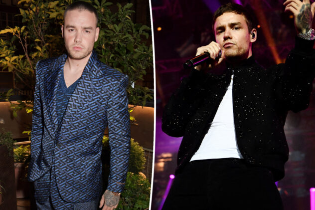 Liam Payne’s psychiatrist advised he needed a ‘higher level of care’ weeks before his death: report