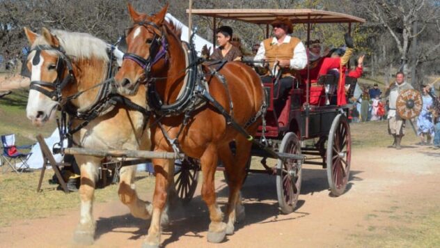 🍝 Things to do this weekend in San Antonio: Winter Restaurant Weeks, Kerrville Renaissance Festival, Mardi Gras Fest