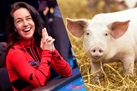 Liv Boeree Donates Half a Million of Historic WSOP Score to Fight Factory Farming