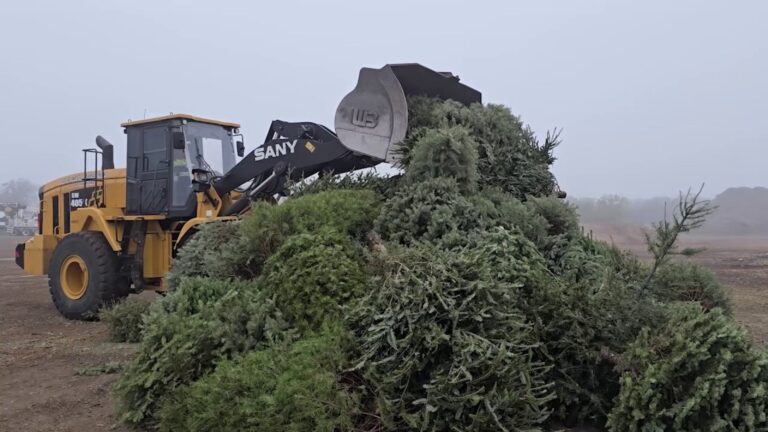 Where to recycle Christmas decorations in San Antonio