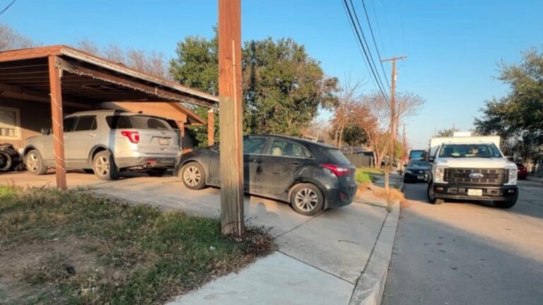7-year-old girl ‘seriously bitten’ in face by neighbor’s dog on West Side, ACS says