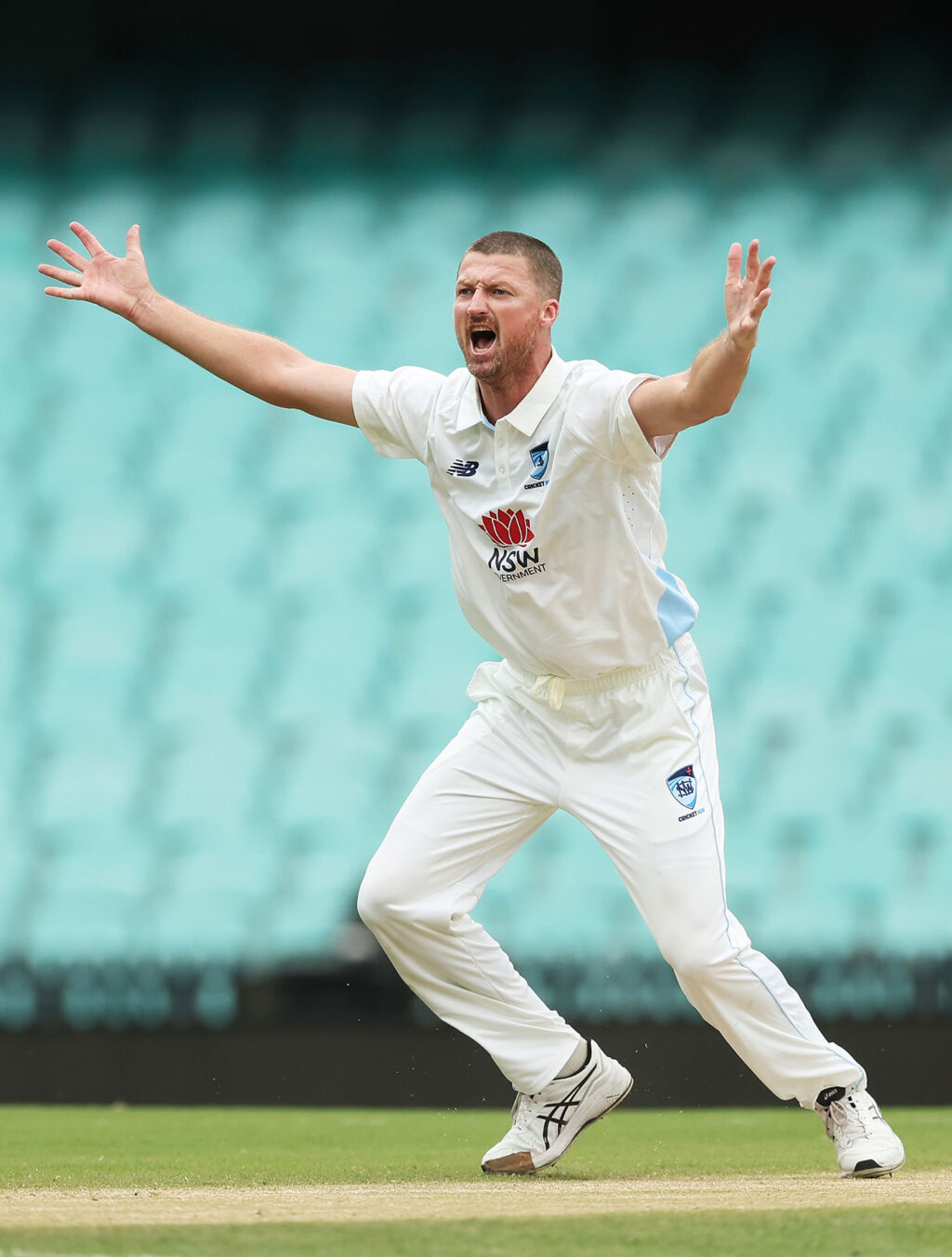 Bird joins 400 club to put NSW in mix for Shield final