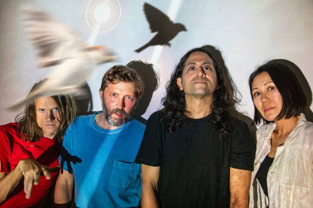 Deerhoof Share New Songs to Benefit the Trevor Project: Listen