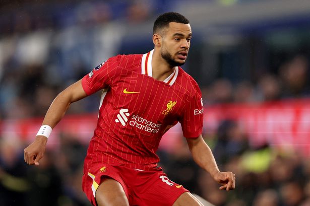 Liverpool team vs Wolves predicted as Cody Gakpo and Trent Alexander-Arnold decisions made