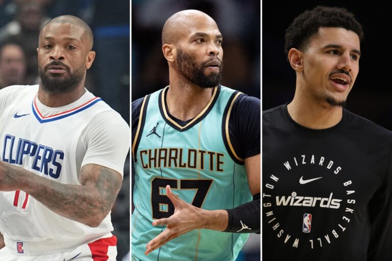 The buyout market options who could provide the Knicks that one final piece