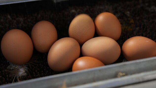 Which San Antonio restaurants have egg surcharges? Bird flu drives record-high egg prices