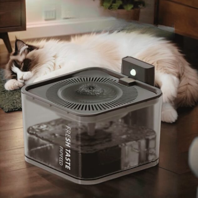 Why Cat Owners Love This Automatic Water Fountain—Now Just $18