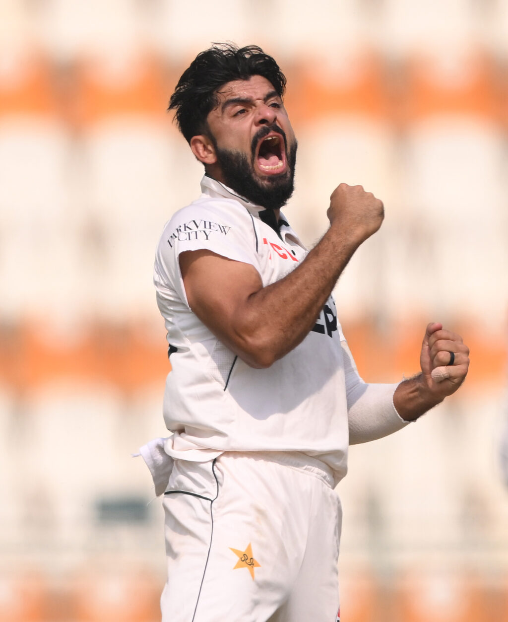 Aamir Jamal slapped with large fine for slogan supporting Imran Khan