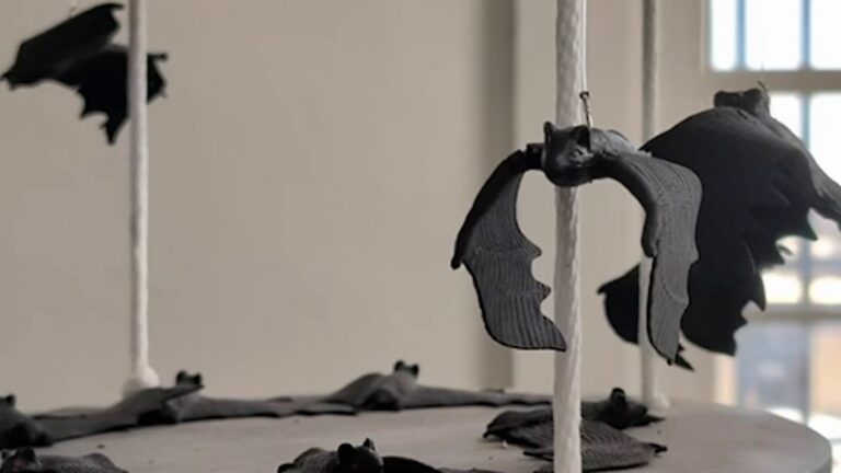 ‘Bat Bombs’: A weird, disturbing WWII weapon that used South Texas bats
