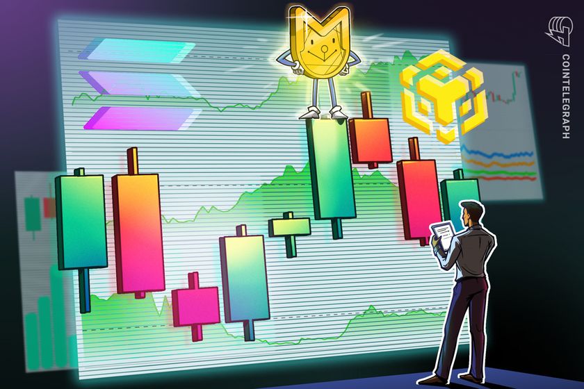 BNB Chain catches memecoin wave as Solana wipes out