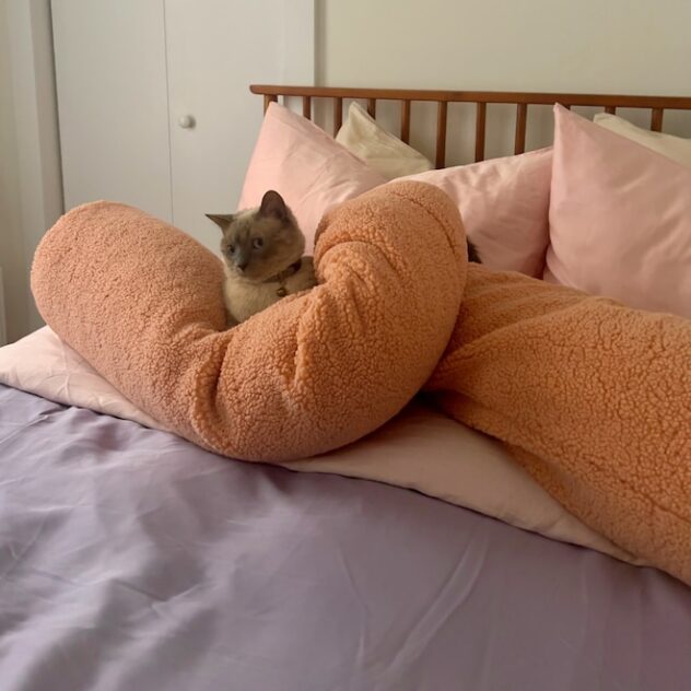 Is the Wiggle Pillow Worth It? The Viral Pillow That Changed My Life