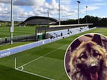 Revealed: Why one Leicester City player was given special permission to 'bring his DOG to training'