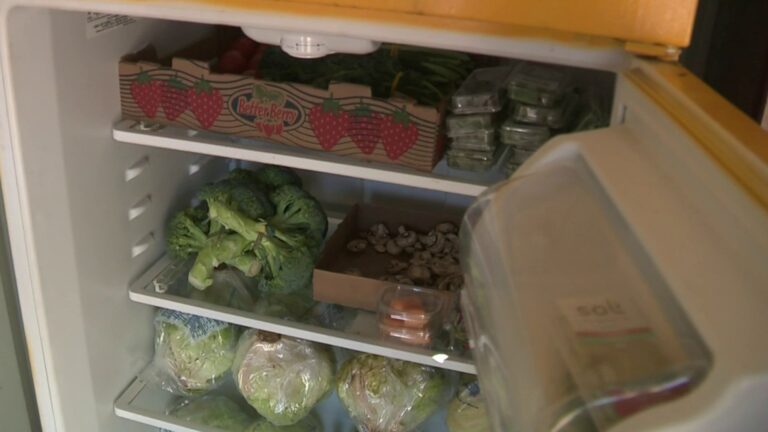 San Antonio community initiatives combat inflation with fresh, affordable food options