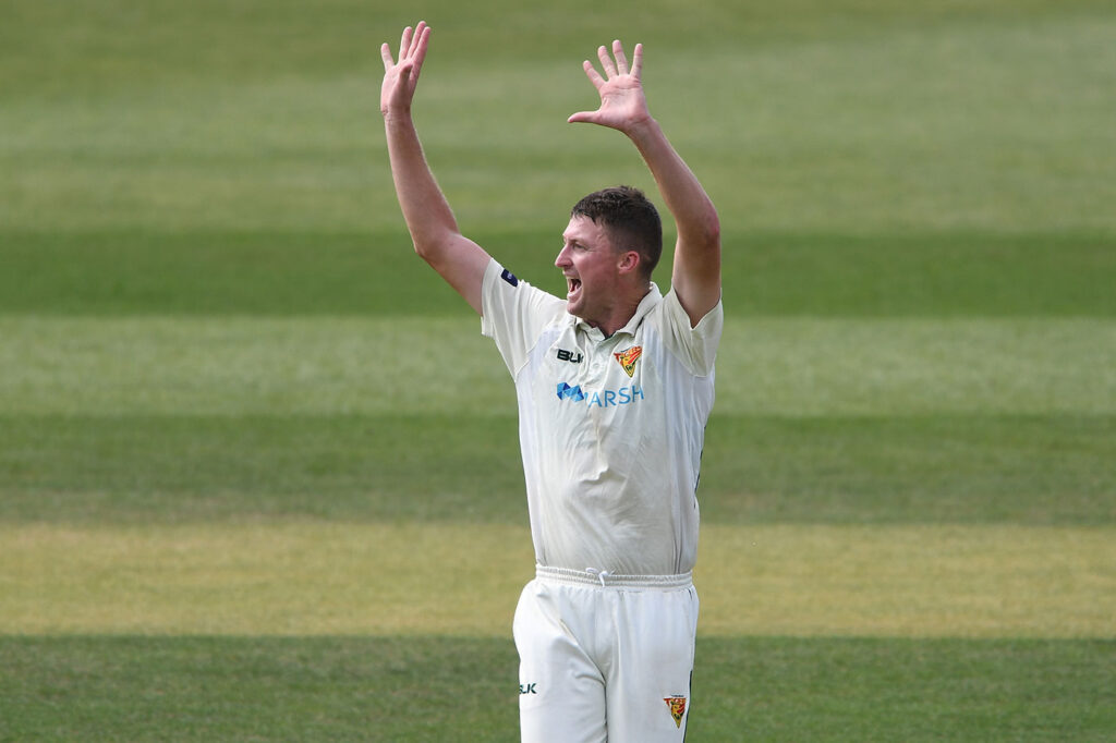 Bird flies back to Tasmania to continue Shield career