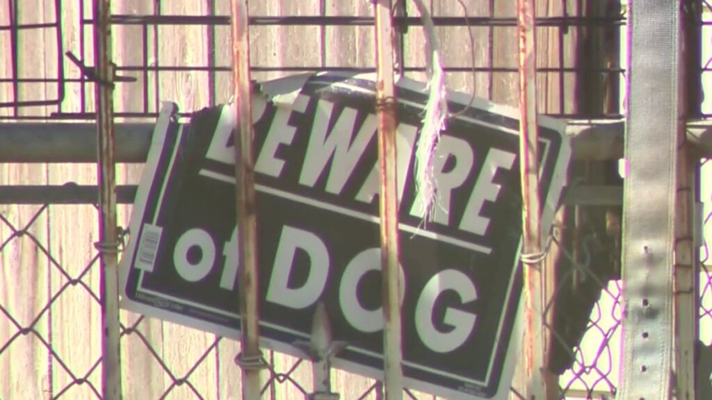 Dog attack victims contemplating lawsuit against city days after dog owner sentenced