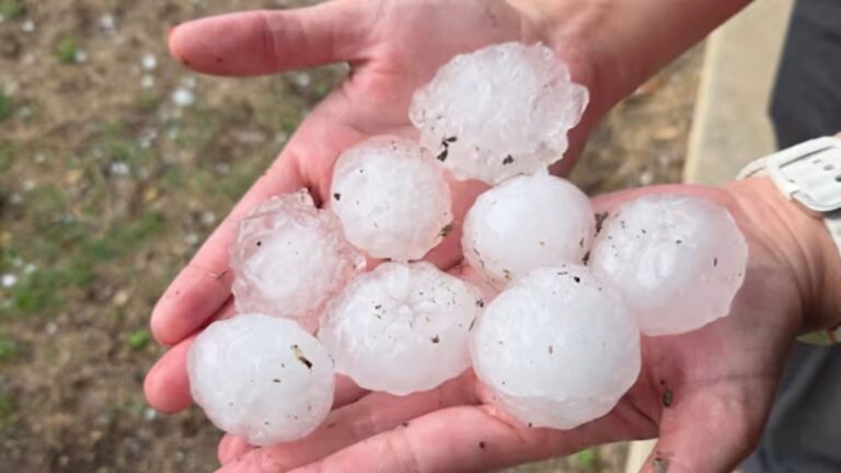 How to file an insurance claim if you were affected by hail damage
