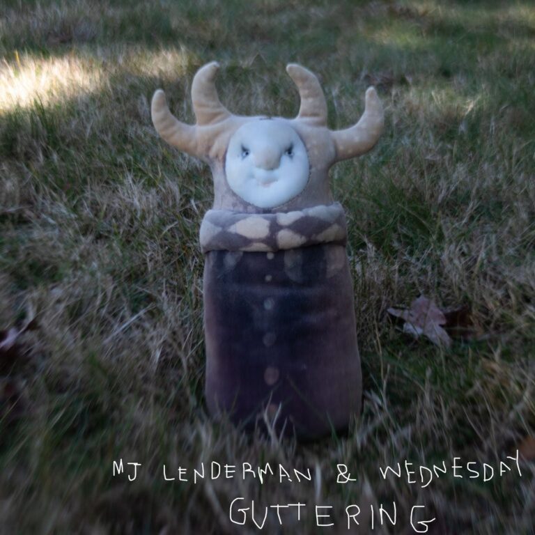 Wednesday and MJ Lenderman Announce Collaborative EP Reissue