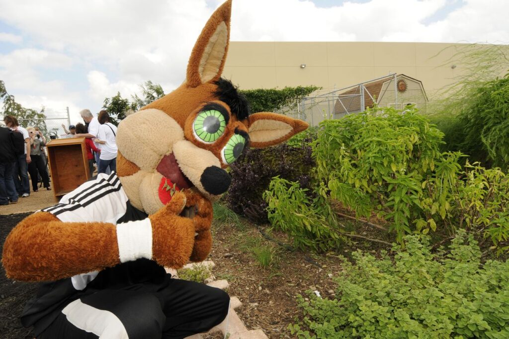 Open Thread: Spurs and SA Food Bank team up for summer food drive