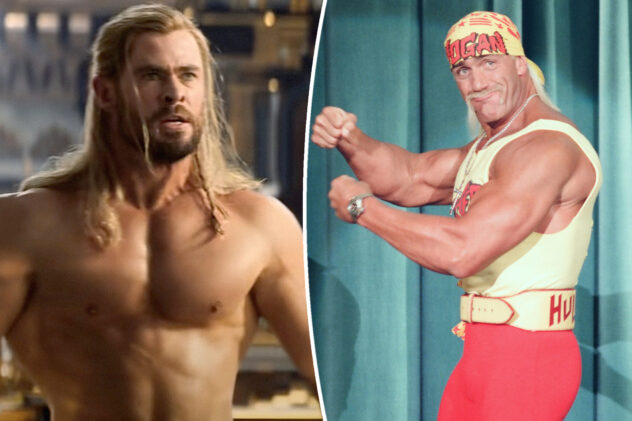 Will Hulk Hogan still get a posthumous biopic starring Chris Hemsworth?