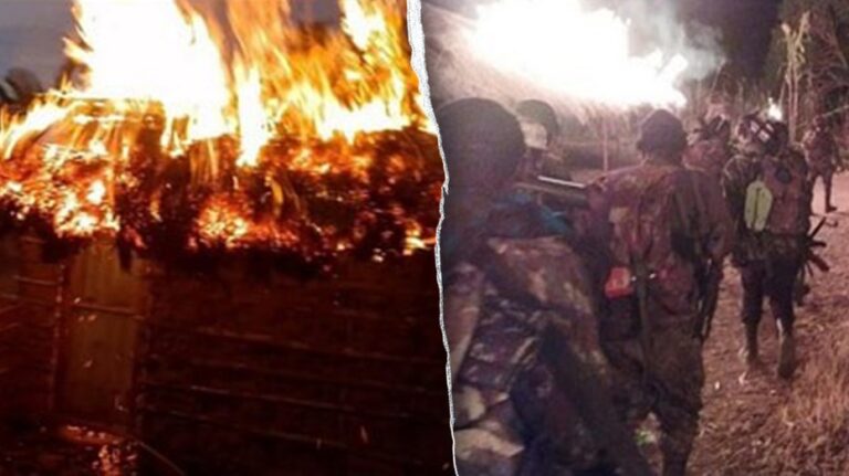 ISIS soldiers behead Christians in Mozambique, burning church and homes: 'Silent genocide'