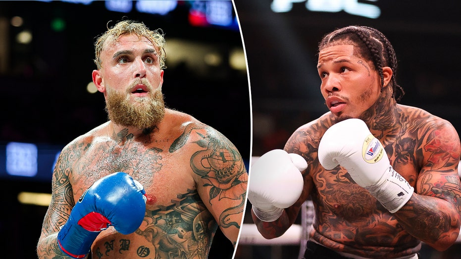 Jake Paul to fight Gervonta 'Tank' Davis in November exhibition on Netflix