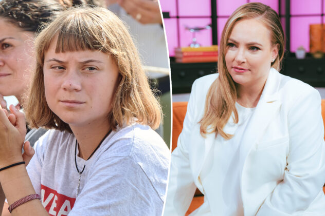 Meghan McCain dragged after ‘mean girl’ dig at activist Greta Thunberg’s ‘Lord Farquaad hair’