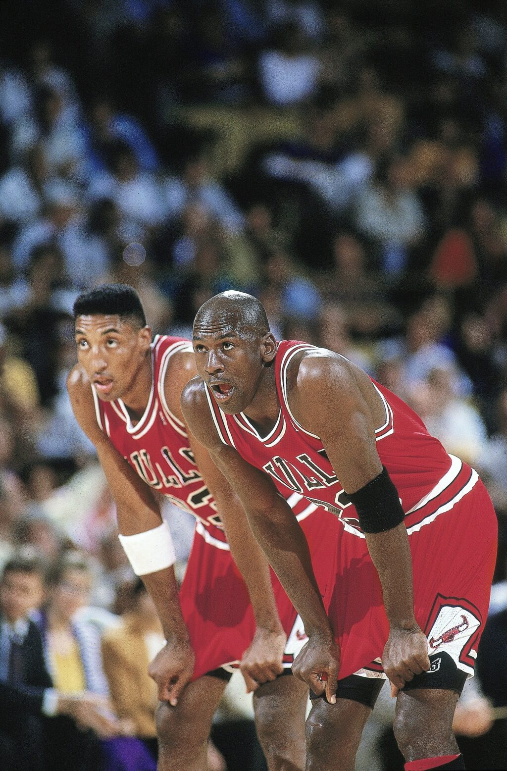 Michael Jordan and Scottie Pippen as the Batman and Robin of basketball
