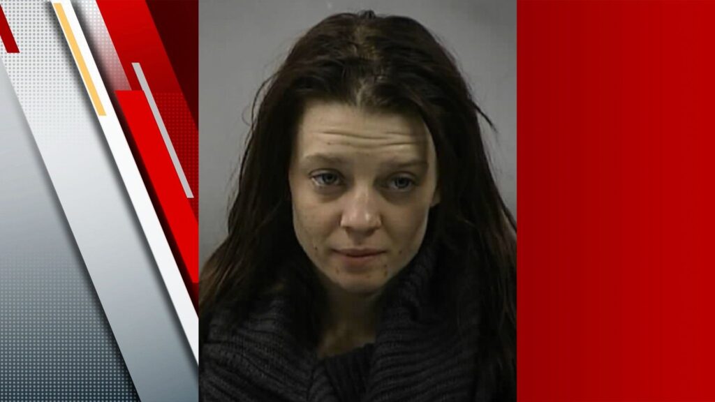 Mother arrested following prevention of child’s removal that prompted AMBER alert, BCSO says