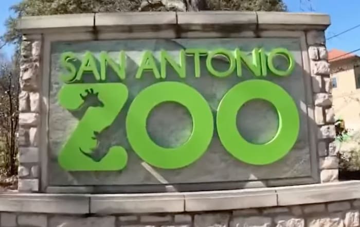 San Antonio Zoo launches campaign to support Hill Country flood victims