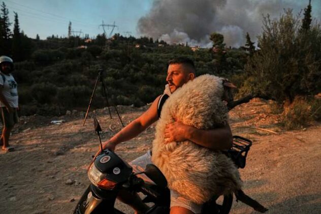 Wildfires kill at least 3 and displace thousands across southern Europe