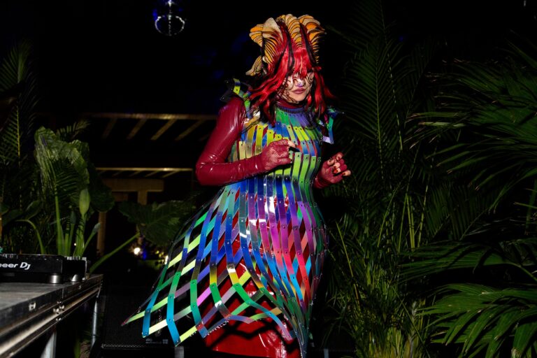 Björk Joins Israel Streaming Embargo