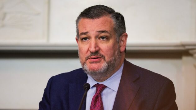 Cruz slams UN's Israel ‘genocide’ charge, pushes for consequences