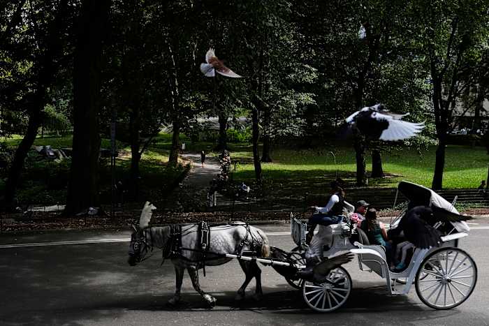 NYC mayor throws support behind bill to ban Central Park horse carriages
