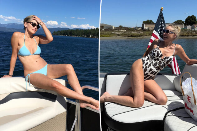 Sharon Stone, 67, models plunging animal print swimsuit on ‘glorious’ boat outing