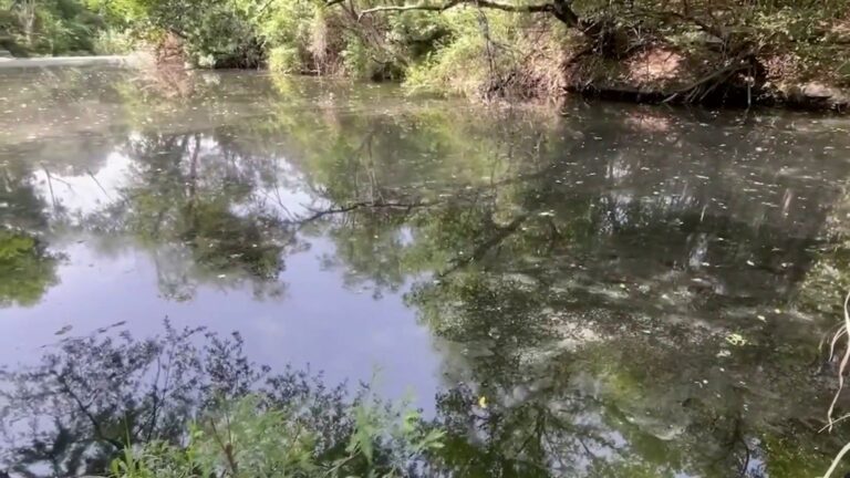 Guajolote Ranch project moves forward as TCEQ approves wastewater facility permit over Helotes Creek watershed