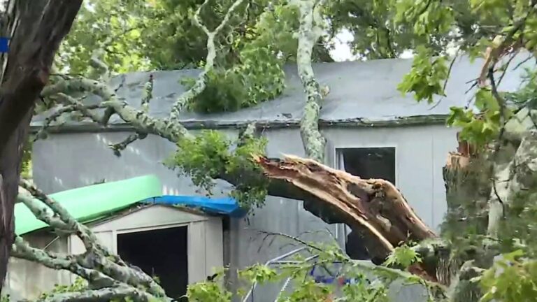 ‘I thought the roof was ripping off’: The aftermath of overnight storms in Comal County