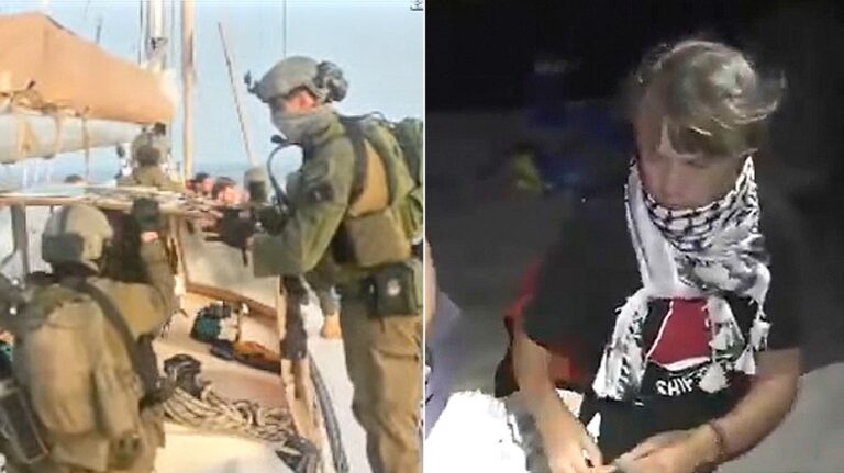 Israeli military arrests Greta Thunberg, flotilla activists after intercepting dozens of boats