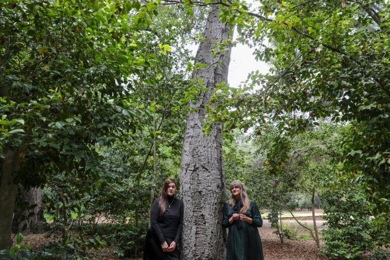 Julianna Barwick and Mary Lattimore Announce Joint Album and Tour, Share New Song: Listen